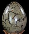Septarian Dragon Egg Geode #64254-3